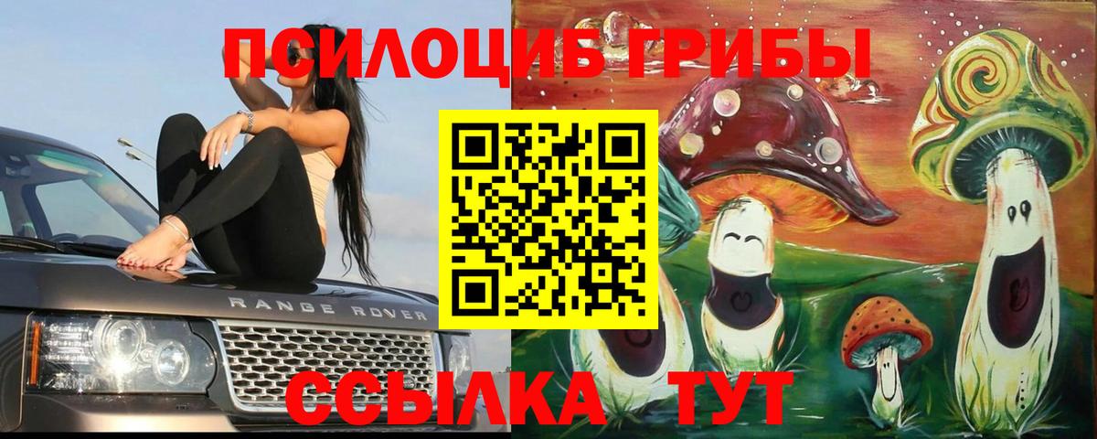 Псилоцибиновые грибы MAGIC MUSHROOMS  Галлюциногенные грибы GOLDEN TEACHER  Юрга  Вход с VPN 